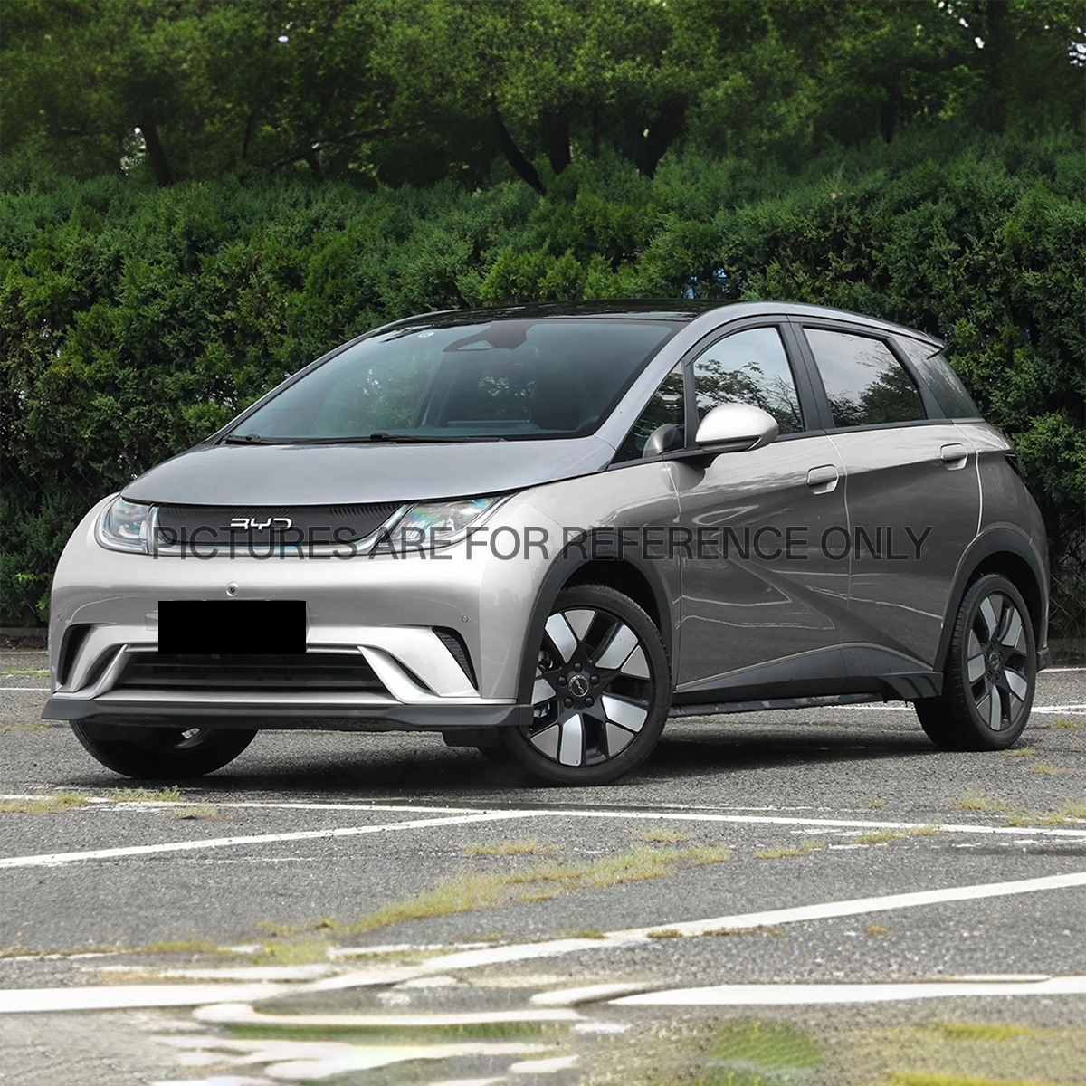BYD Dolphin Automatic Luxury Gray Model, Registration Date: March 14, 2024