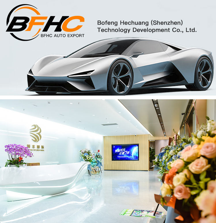 Cost-Effective Petrol & EV Vehicle Sourcing Guide for Africa Market | BFHC