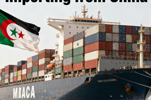 Your Smart Guide to Importing Cars from China to Algeria