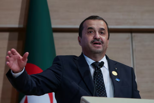 Algeria's $60 Billion Energy Gambit: Betting Big on Oil and Gas