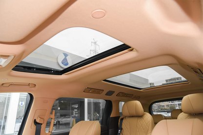 2025 Denza D9 DM Hybrid MPV