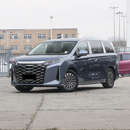 2025 BYD Xia DM-i 100KM