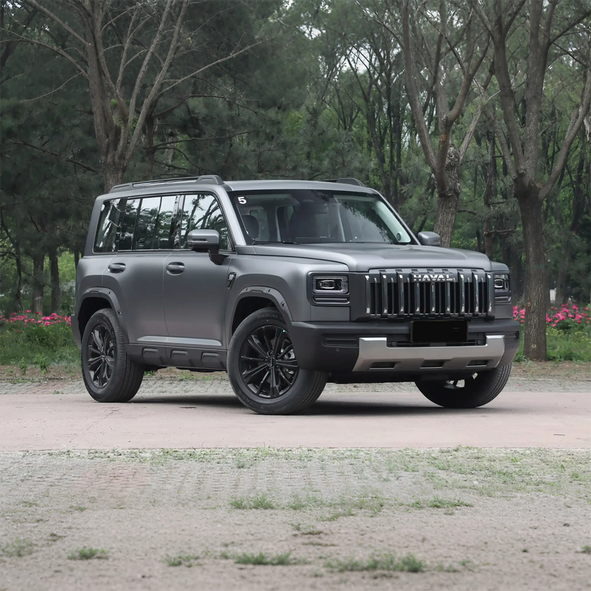 2025 Haval Raptor Gasoline SUV