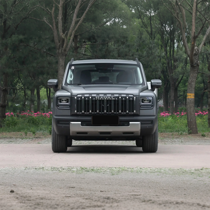 2025 Haval Raptor Gasoline SUV