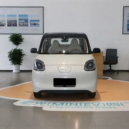 Wuling Mini Car Electric Mini