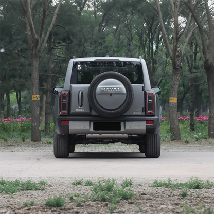 2025 Haval Raptor Gasoline SUV