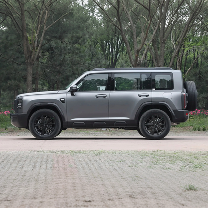 2025 Haval Raptor Gasoline SUV