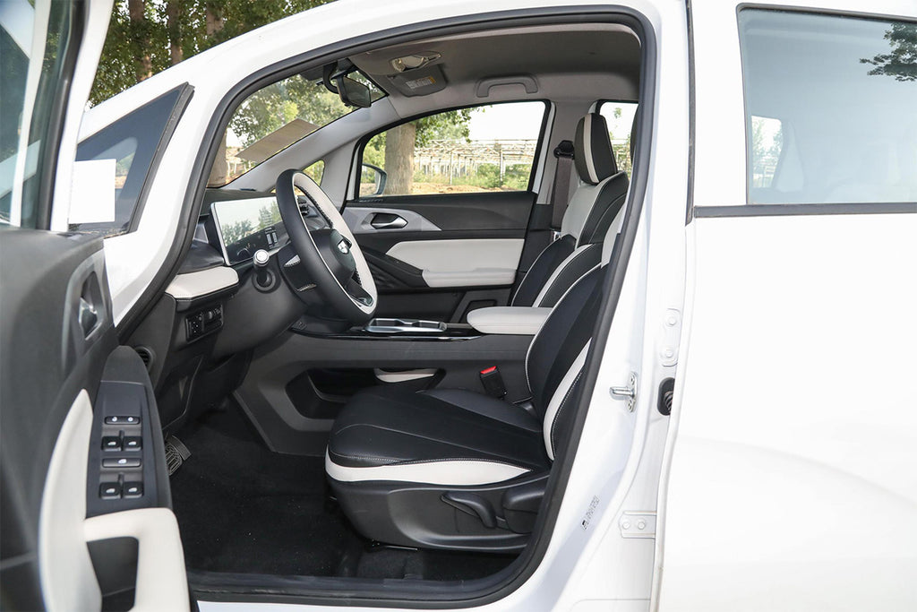 2024 Geely Geome Electric SUV— BFHC Auto Export
