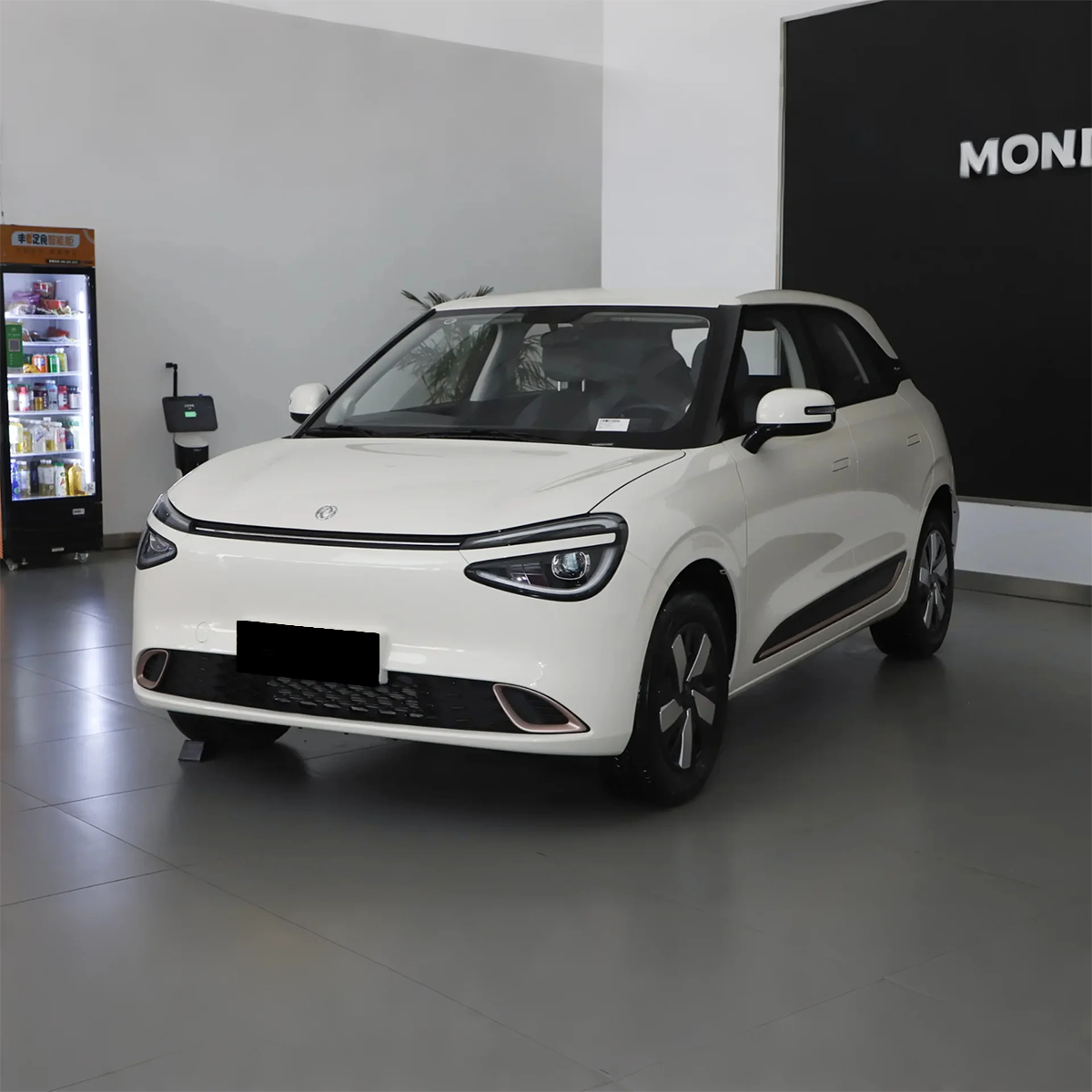 Nammi 01 Electric Mini Car