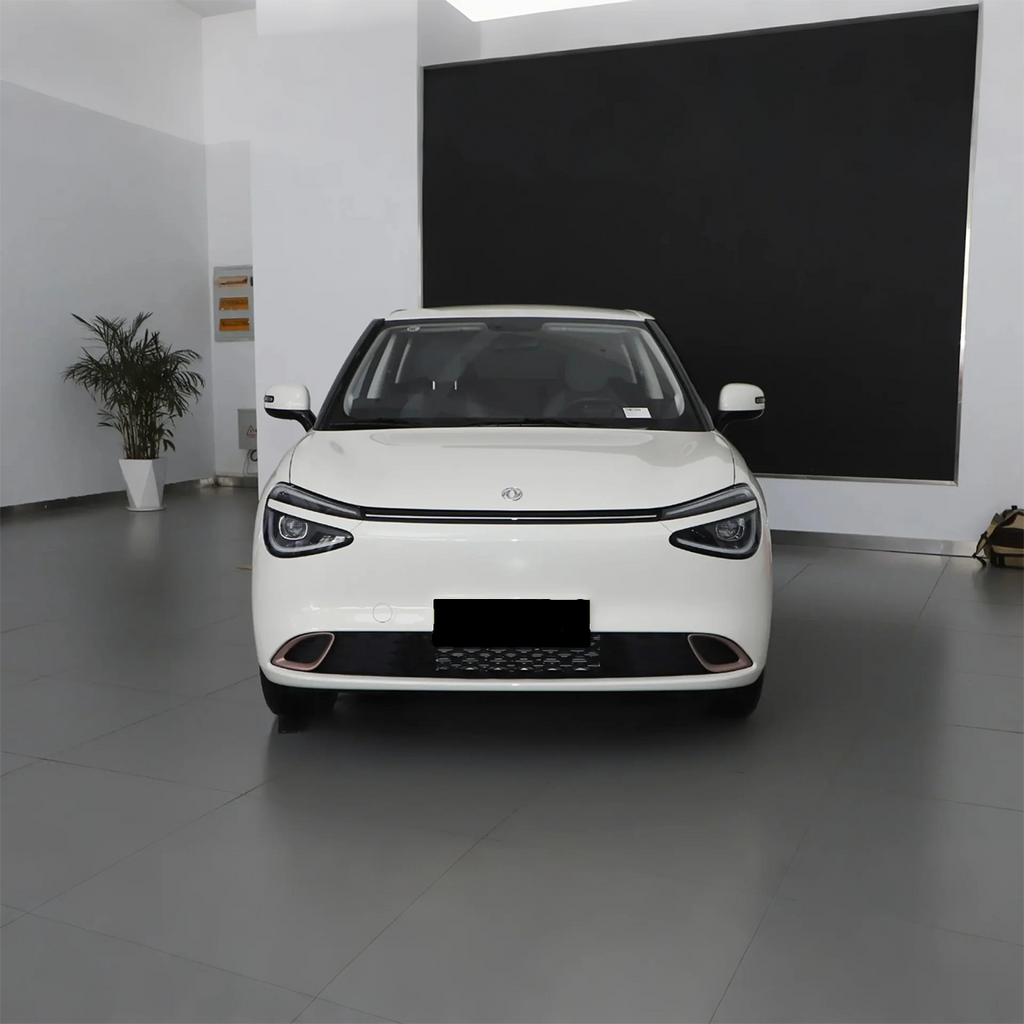 2025 Nammi 01 Electric Mini Car — BFHC Auto Export