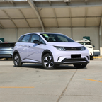 2025 BYD Dolphin Mini Electric Car — BFHC Auto Export