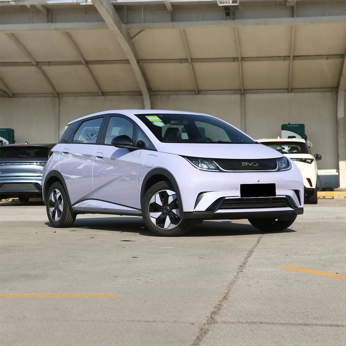 2025 BYD Dolphin Mini Electric Car — BFHC Auto Export