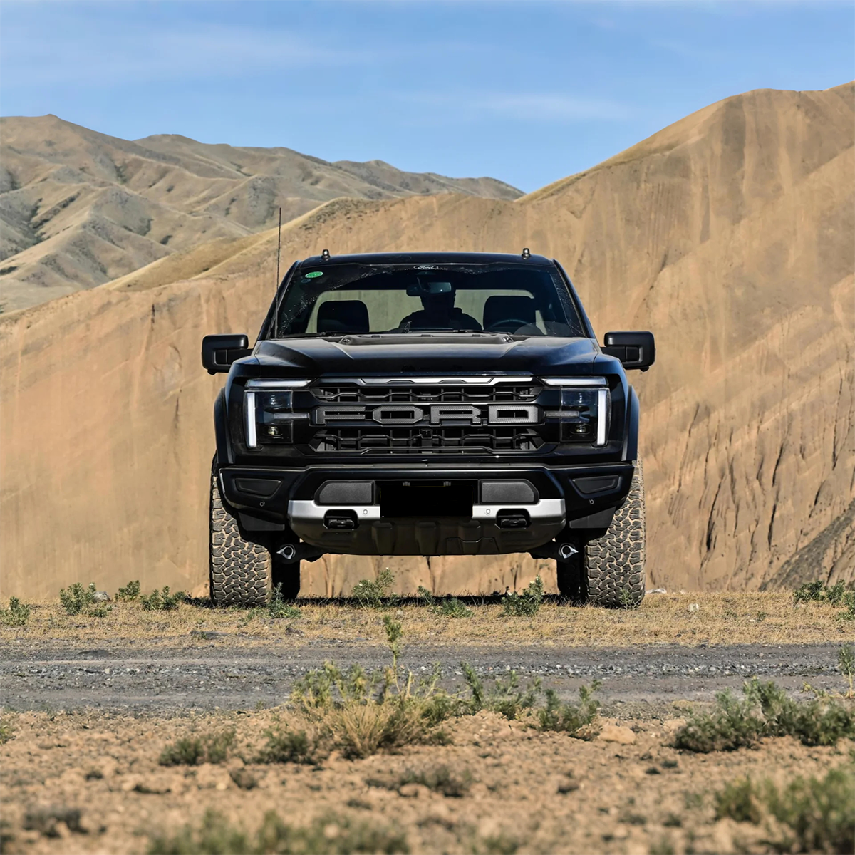 2025 Ford F-150 Raptor Gasoline Pickup— BFHC Auto Export