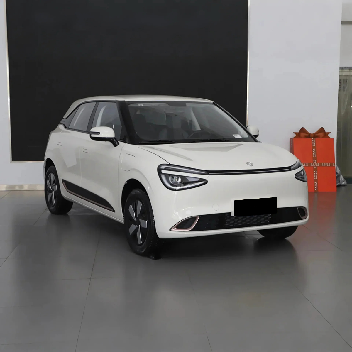 Nammi 01 Electric Mini Car