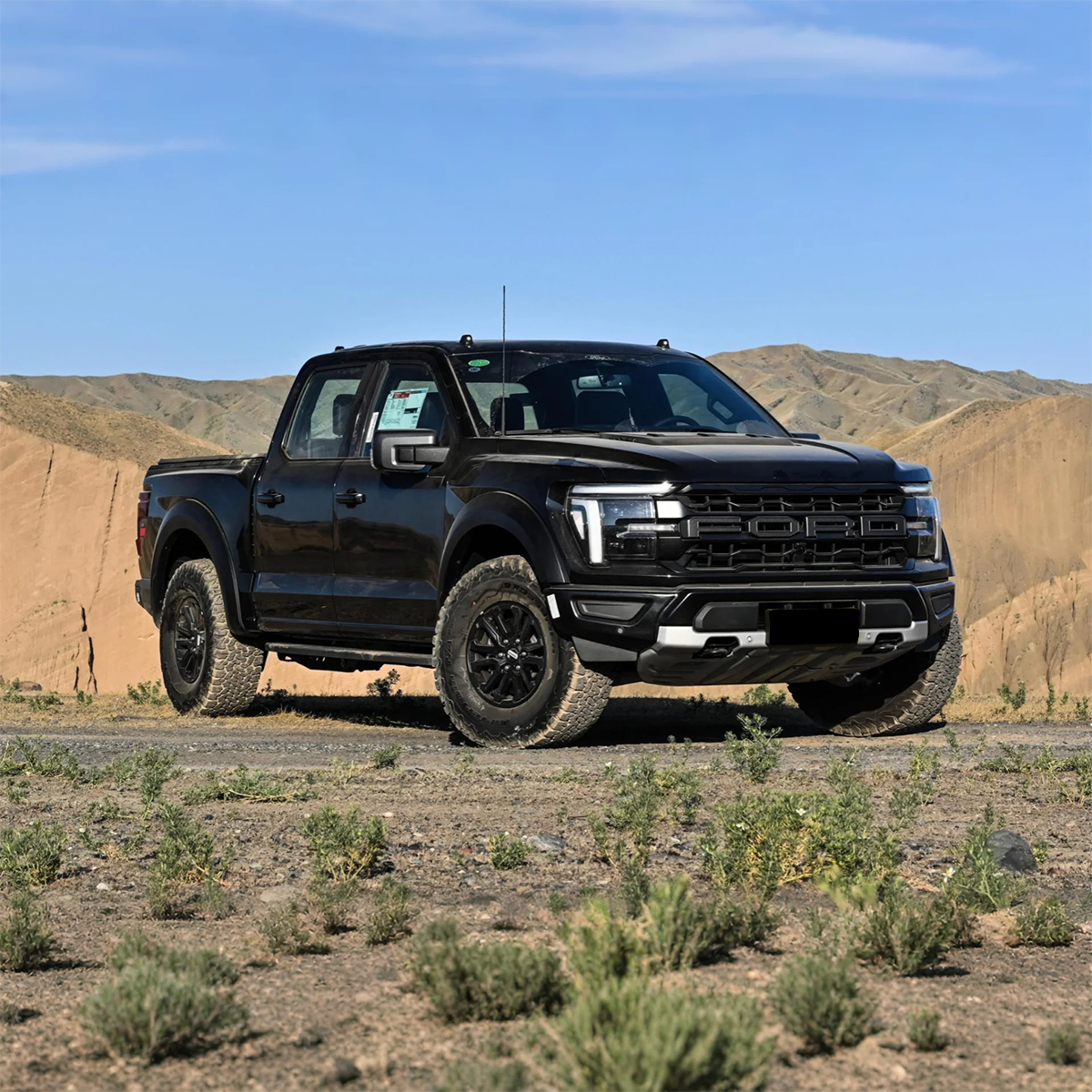 2025 Ford F-150 Raptor Gasoline Pickup— BFHC Auto Export