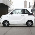 2022 Dongfeng MiniEV — BFHC Auto Export