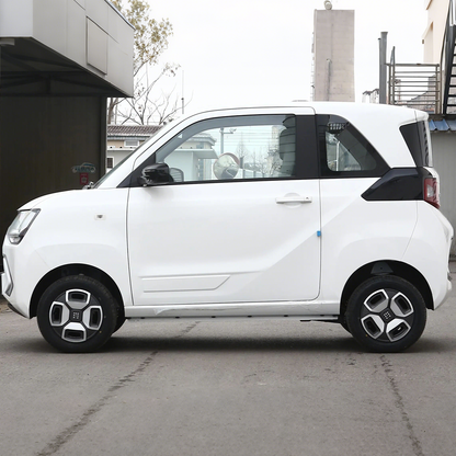 2022 Dongfeng MiniEV