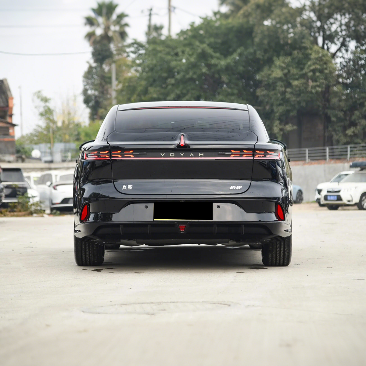 2024 Voyah Passion PHEV 4WD Hybrid Sedan