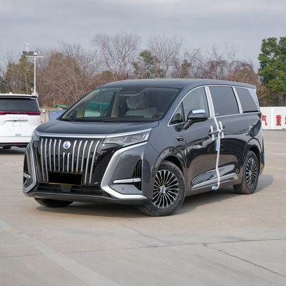 2025 Denza D9 DM Hybrid MPV