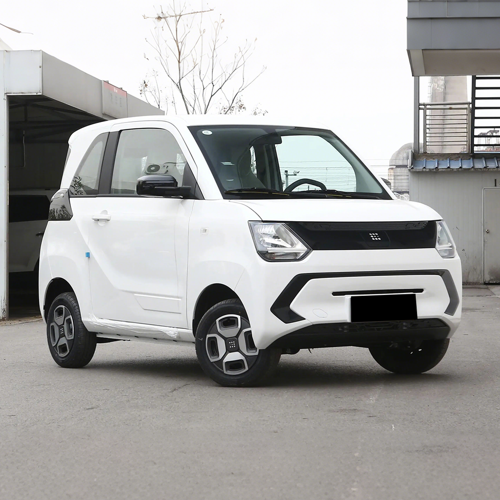 2022 Dongfeng MiniEV — BFHC Auto Export