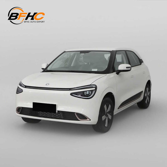 Nammi 01 Electric Mini Car