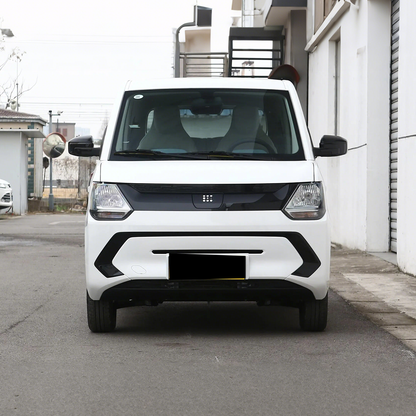 2022 Dongfeng MiniEV
