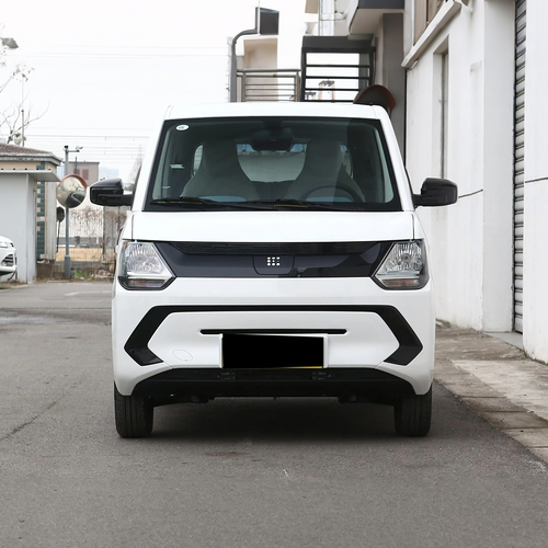 2022 Dongfeng MiniEV — BFHC Auto Export