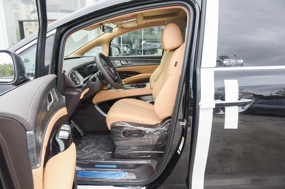 2025 Denza D9 DM Hybrid MPV