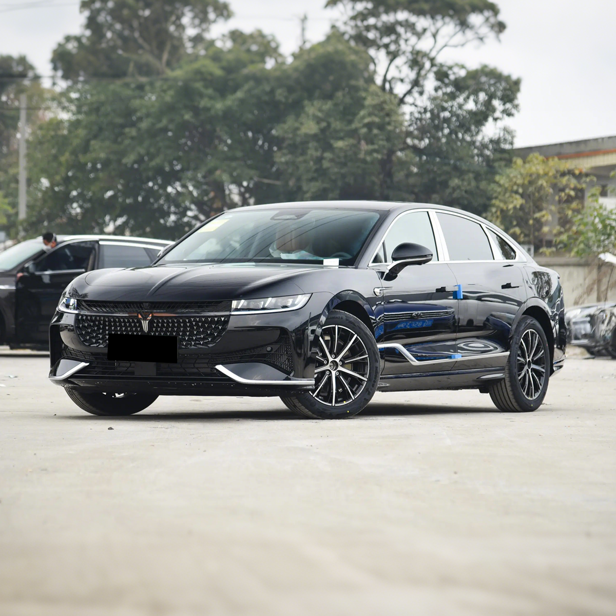 2024 Voyah Passion PHEV 4WD Hybrid Sedan