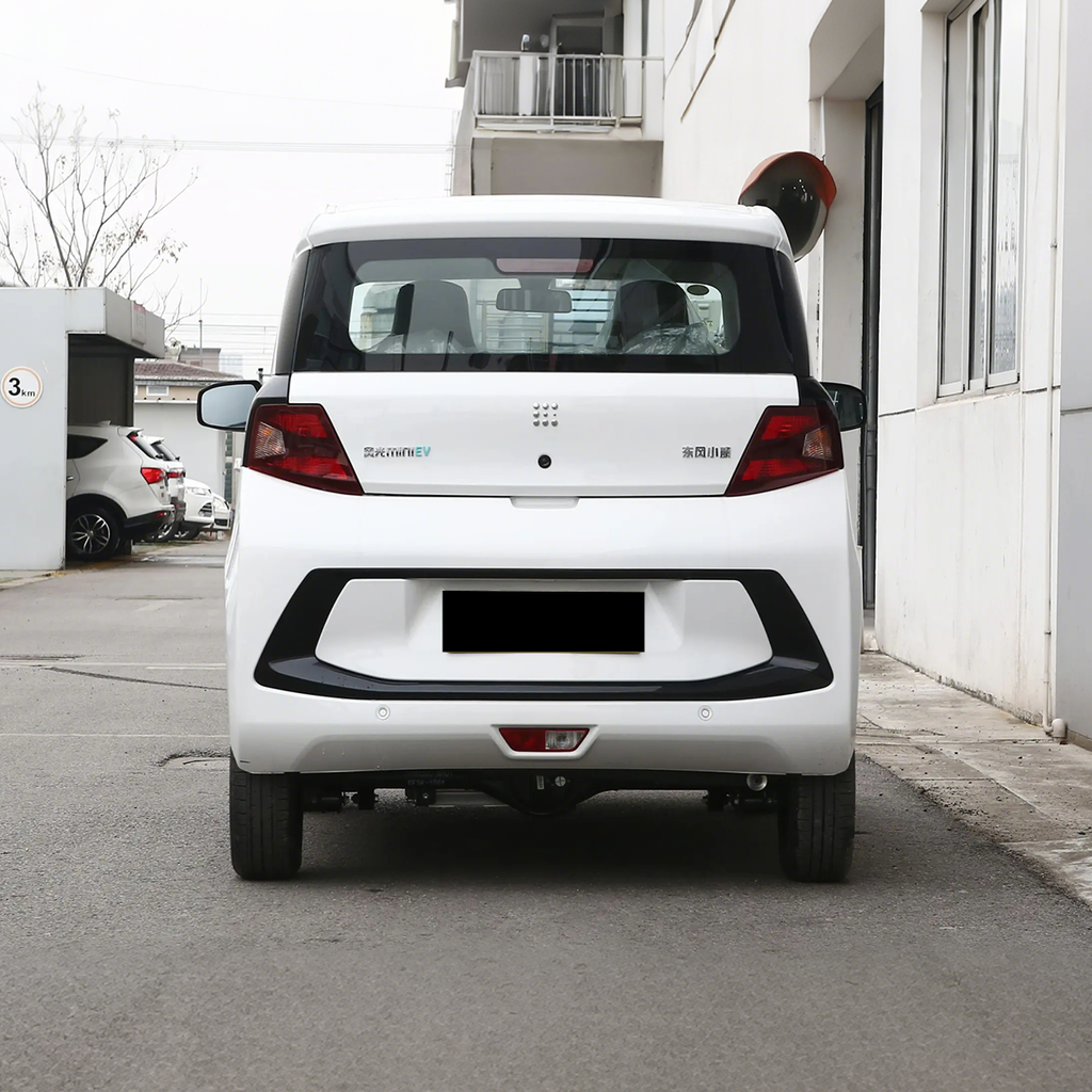 2022 Dongfeng MiniEV — BFHC Auto Export