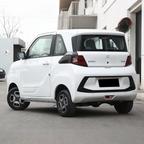 2022 Dongfeng MiniEV — BFHC Auto Export