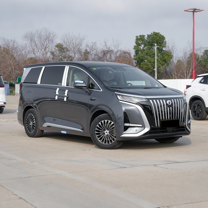 2025 Denza D9 DM Hybrid MPV