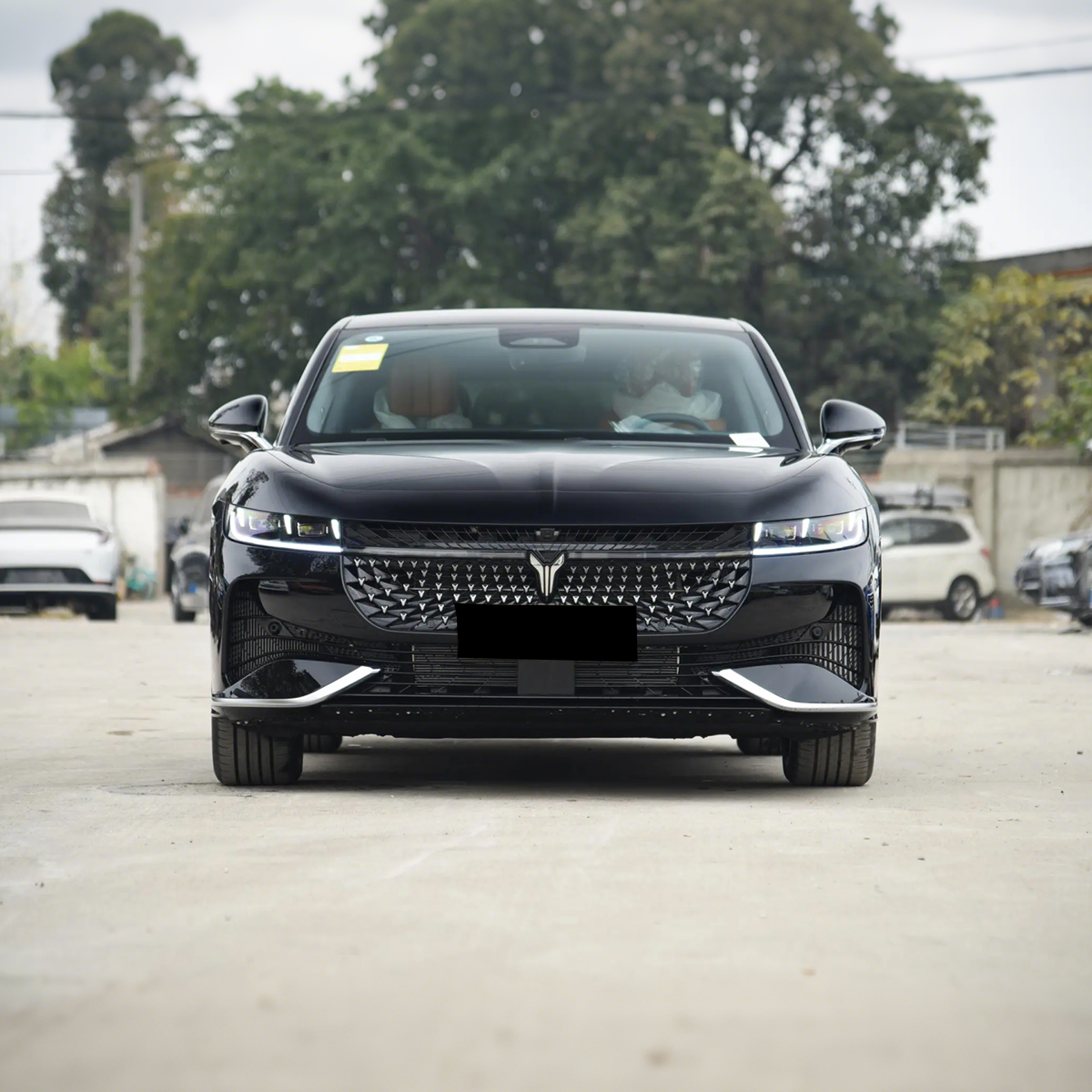 2024 Voyah Passion PHEV 4WD Hybrid Sedan