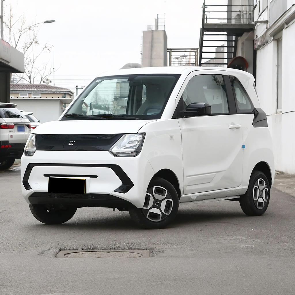 2022 Dongfeng MiniEV — BFHC Auto Export