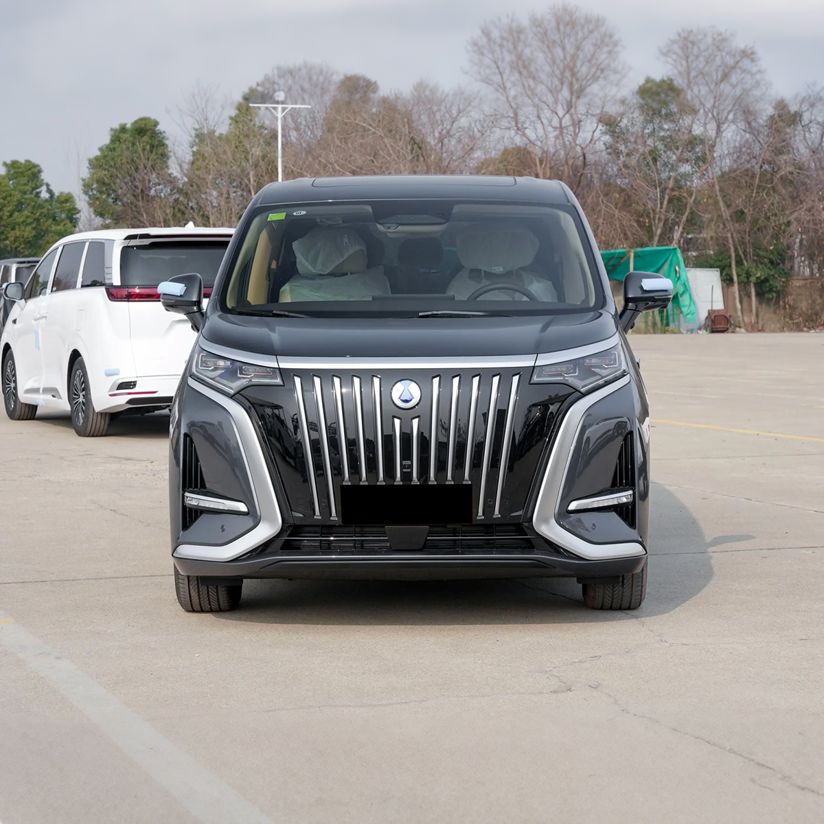 2025 Denza D9 DM Hybrid MPV